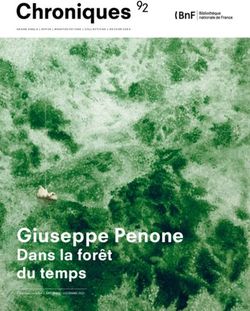 GIUSEPPE PENONE DANS LA FORÊT DU TEMPS - BNF