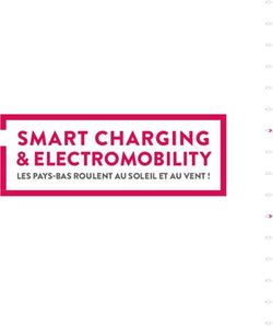 SMART CHARGING & ELECTROMOBILITY - LES PAYS-BAS ROULENT AU SOLEIL ET AU VENT ! - Avere-France