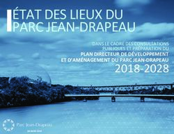 ÉTAT DES LIEUX DU PARC JEAN-DRAPEAU - 2018-2028 PLAN DIRECTEUR DE DÉVELOPPEMENT ET D'AMÉNAGEMENT DU PARC JEAN-DRAPEAU - Office de consultation ...
