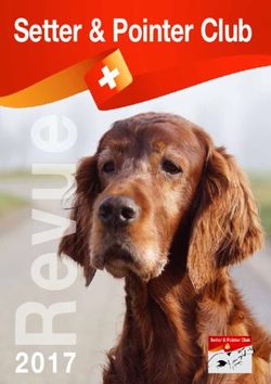 Setter & Pointer Club - setter.ch