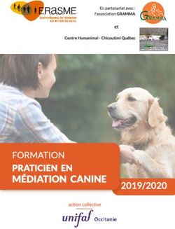 MÉDIATION CANINE FORMATION PRATICIEN EN 2019/2020 - Erasme