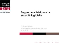 Support matériel pour la sécurité logicielle - Guillaume Duc 2018-2019