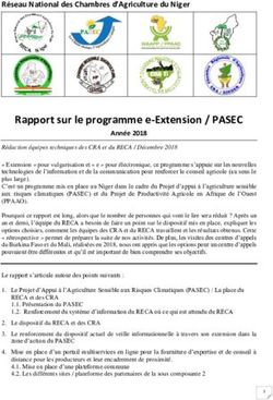 Rapport sur le programme e-Extension / PASEC - RECA-Niger
