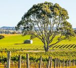 Objectif Lune - FOOTBALL Ludovic Magnin, la balle au bond - Coop&eacute;ration