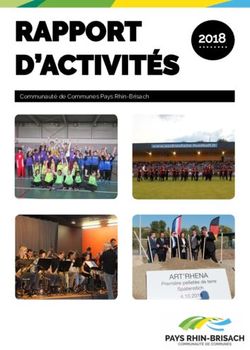 RAPPORT D'ACTIVITÉS 2018 - Communauté de Communes Pays Rhin-Brisach