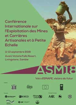 Conférence Internationale sur l'Exploitation des Mines et Carrières Artisanales et à Petite Echelle - Voix d'EMAPE, visions du futur