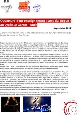 Ouverture d'un enseignement " arts du cirque " au Lyc&eacute;e Le Garros - Auch