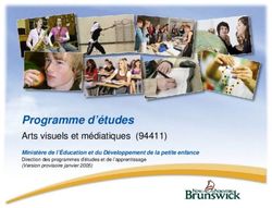 Programme d'études Arts visuels et médiatiques (94411) Ministère de l'Éducation et du Développement de la petite enfance Direction des programmes ...