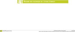 E1 RESUME NON TECHNIQUE DE L'ETUDE D'IMPACT