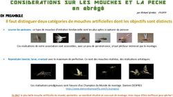 CONSIDERATIONS SUR LES MOUCHES ET LA PECHE - en abr&eacute;g&eacute; - P&ecirc;cheurs &agrave; la Mouche