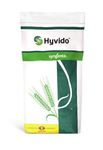 ACTUALITÉS Syngenta Semences d'orge hybride Hyvido 2021 Focus sur les variétés Avantages de l'orge hybride Hyvido