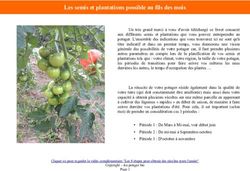 Les semis et plantations possible au fils des mois - Au potager bio