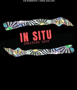 IN SITU CR&Eacute;ATION 2023 - CIE BURNOUT | JANN GALLOIS