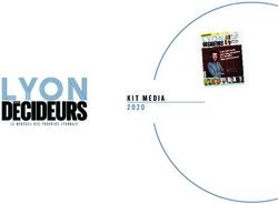 KIT MEDIA - Lyon décideurs