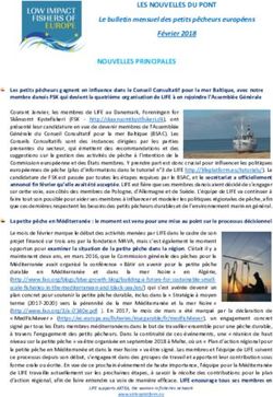 LES NOUVELLES DU PONT - Aktea