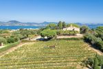 FESTIVAL DE JARDINS DE VIGNES - CAVE TORPEZ À SAINT-TROPEZ