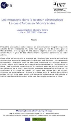 Les mutations dans le secteur aéronautique Le cas d'Airbus en Midi-Pyrénées