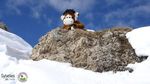 Lieu: st. Sorlin d'Arves, Rh&ocirc;ne-alpes - P&eacute;riode: Du dimanche 28/01 au samedi 03/02/18
