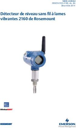 Détecteur de niveau sans fil à lames vibrantes 2160 de Rosemount - Emerson