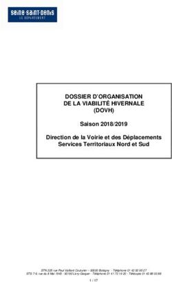 DOSSIER D'ORGANISATION DE LA VIABILITÉ HIVERNALE (DOVH)