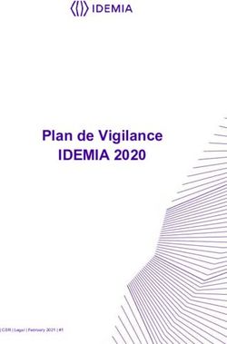 IDEMIA 2020 Plan de Vigilance