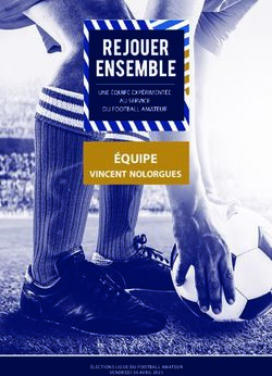 &Eacute;quipe vincent nolorgues - &Eacute;LECTIONS LIGUE DU FOOTBALL AMATEUR VENDREDI 30 AVRIL 2021