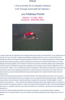 STAGE " A la rencontre de son dauphin int&eacute;rieur et de l'&eacute;nergie universelle des baleines " - Institut Dony