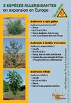 CATALOGUE OBSERVATOIRE DES AMBROISIES - Affiches