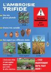 CATALOGUE OBSERVATOIRE DES AMBROISIES - Affiches