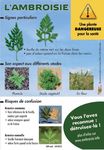 CATALOGUE OBSERVATOIRE DES AMBROISIES - Affiches