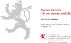Manner Kaméidi - fir méi Liewensqualitéit - Consultation publique Projet de plan d'action contre le bruit aéroportuaire - gouvernement.lu