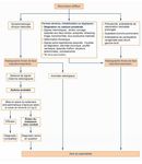 Th&egrave;se - Universit&eacute; de Tours