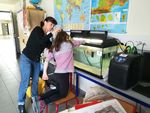 Education &agrave; l'Environnement en Occitanie, secteur Midi-Pyr&eacute;n&eacute;es Th&egrave;me poissons migrateurs - Ann&eacute;e 2018 - Migado