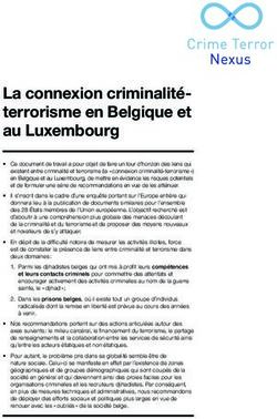 La connexion criminalité-terrorisme en Belgique et au Luxembourg - Crime Terror Nexus