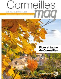 Flore et faune de Cormeilles - N 255 - D&eacute;cembre 2021 / Janvier 2022 - Cormeilles-en-Parisis