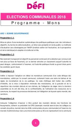 ELECTIONS COMMUNALES 2018 - Programme - Mons