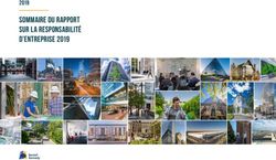 Sommaire du rapport sur la responsabilité d'entreprise 2019 2019