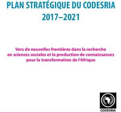 PLAN STRATÉGIQUE DU CODESRIA - 2017-2021 Vers De Nouvelles Frontières ...