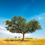 DEUXIÈME PLAN D'ACTION DU GROUPE DE LA BANQUE AFRICAINE DE DÉVELOPPEMENT POUR LES CHANGEMENTS CLIMATIQUES (2016-2020) - UNE AFRIQUE RÉSILIENTE ET ...