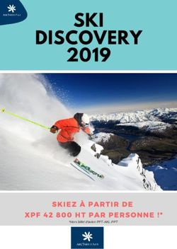 SKI 2019 DISCOVERY - *Hors billet d'avion PPT-AKL-PPT - Air Tahiti Nui