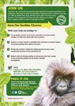 Une nouvelle Charte : 1 000 gorilles de montagne à l'horizon 2018 - The Gorilla Organization