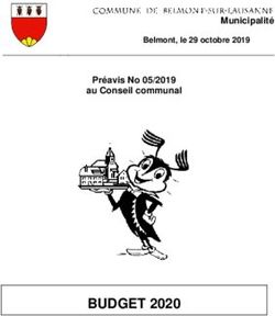 BUDGET 2020 - Municipalité - Belmont-sur-Lausanne