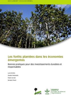 Les forêts plantées dans les économies émergentes - Bonnes pratiques pour des investissements durables et responsables - CIFOR
