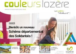 Couleurs Sch&eacute;ma d&eacute;partemental des Solidarit&eacute;s ! - Bient&ocirc;t un nouveau - Allenc.fr