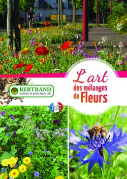 L,art de Fleurs des m&eacute;langes - Graines Bertrand