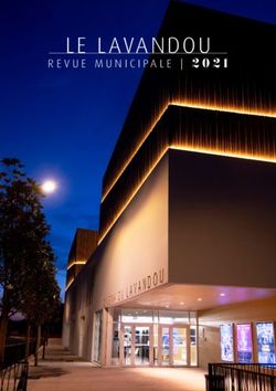 LE LAVANDOU REVUE MUNICIPALE