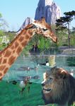 Zoologique de Paris Ouverture du Parc - Charenton.fr