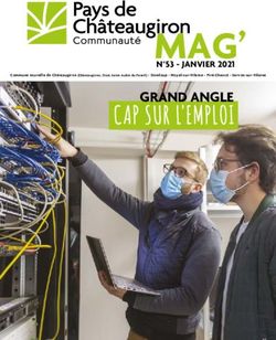 CAP SUR L'EMPLOI GRAND ANGLE - N 53 - JANVIER 2021 MAG' - Pays de Ch&acirc;teaugiron Communaut&eacute;
