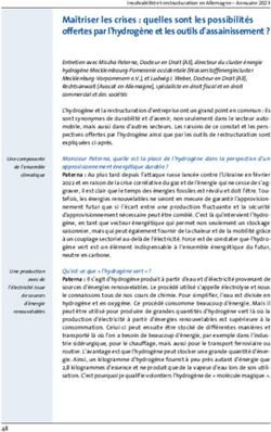 Ma&icirc;triser les crises : quelles sont les possibilit&eacute;s offertes par l'hydrog&egrave;ne et les outils d'assainissement ?