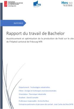 Rapport du travail de Bachelor - HEIG-VD